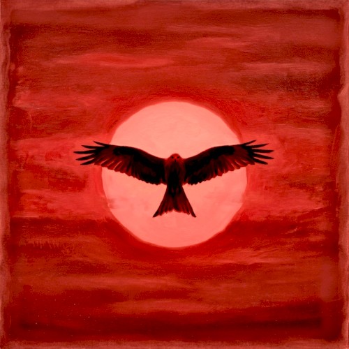 Red Kite