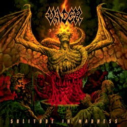 Solitude in Madness