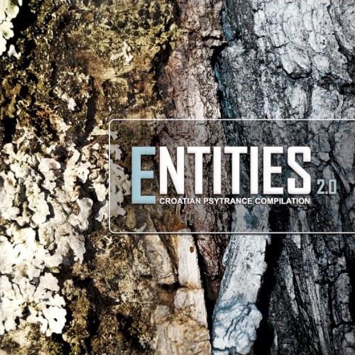 Entities 2