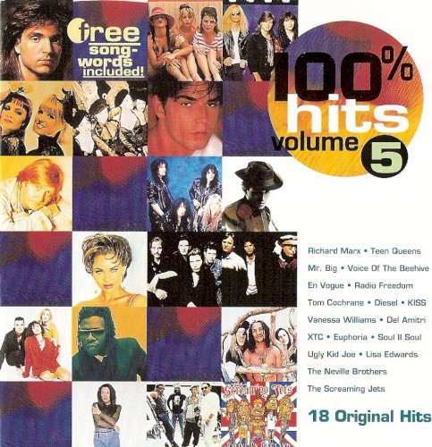 100% Hits, Volume 5