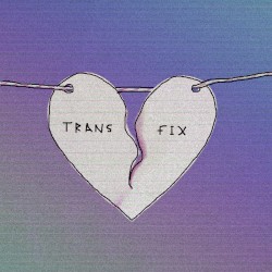 transfix