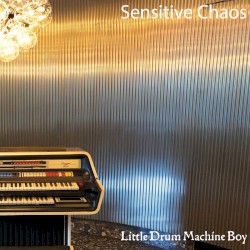 Little Drum Machine Boy