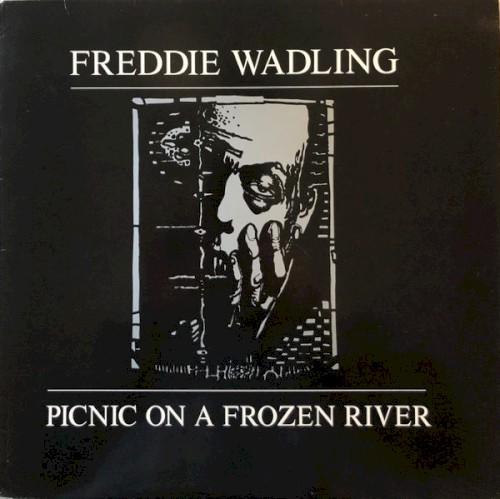 Picnic on a Frozen River