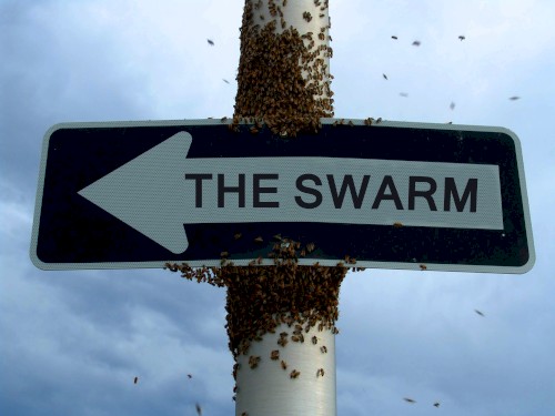 The Swarm
