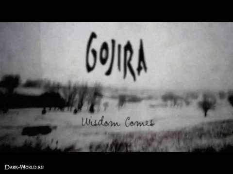 Wisdom Comes