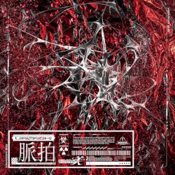 脈拍