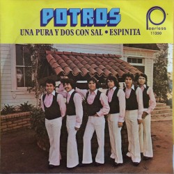 Una pura y dos con sal / Espinita