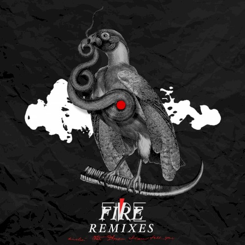 Fire (remixes)