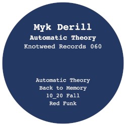 Automatic Theory