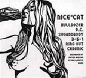 Nice*Cat