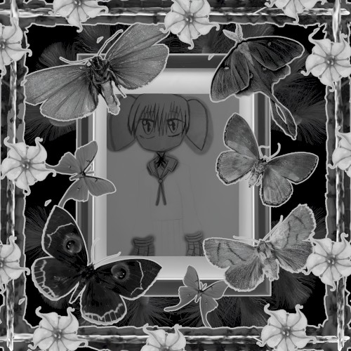 The Death of Mihama Chiyo