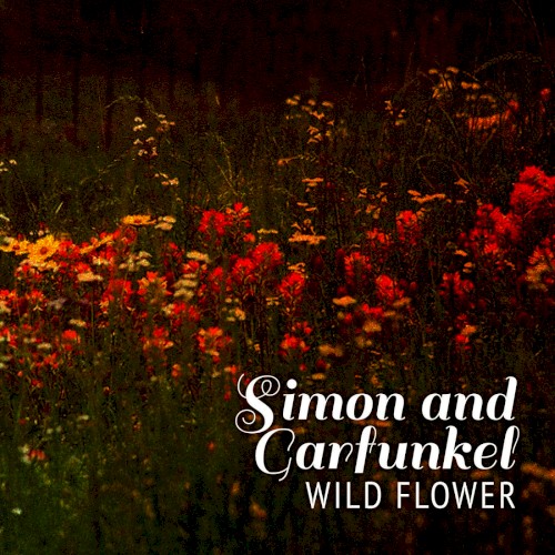 Wild Flower