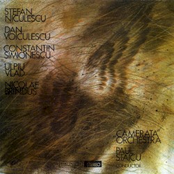 Orchestra „Camerata”