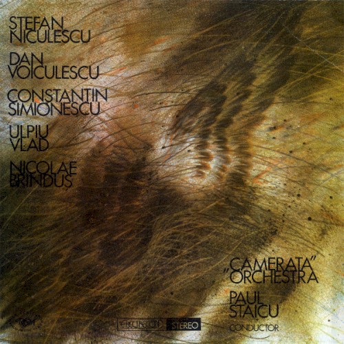 Orchestra „Camerata”