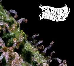 Stoned Monkey