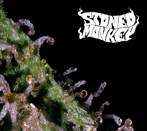Stoned Monkey