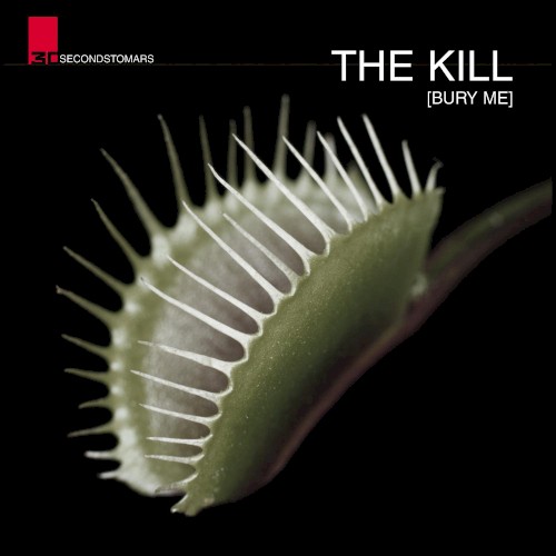 The Kill (Portuguese Version)