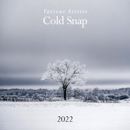 Cold Snap 2022