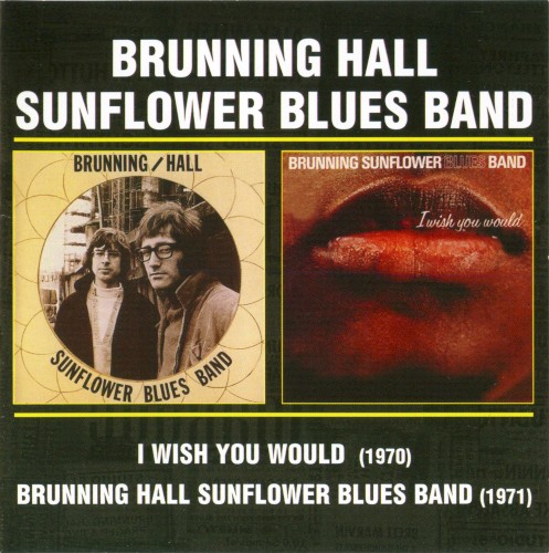 I Wish You Would / Brunning Hall Sunflower Blues Band