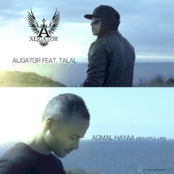 Agmal Hayaa (Beautiful Life)