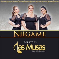 Niégame