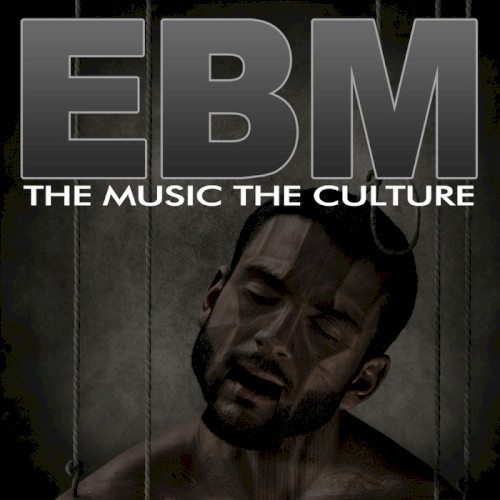 The Music The Culture: EBM
