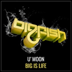 Big Is Life