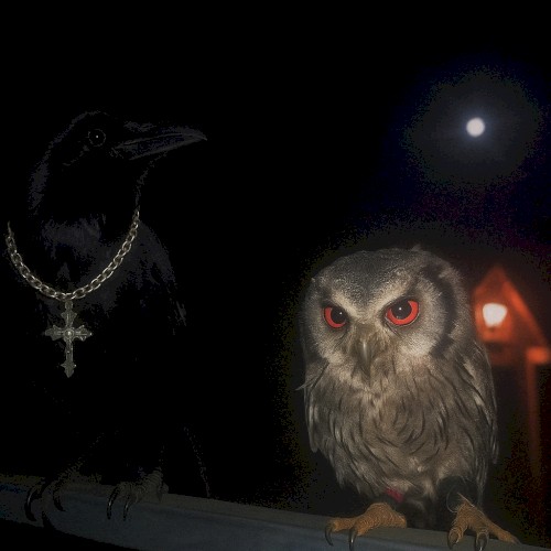 freestyle.wav pt2