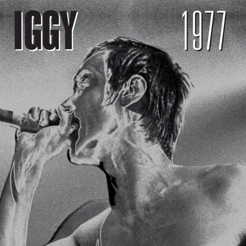 Iggy 1977