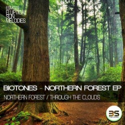 Northern Forest
