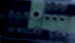 Synth Bass Sample Pack