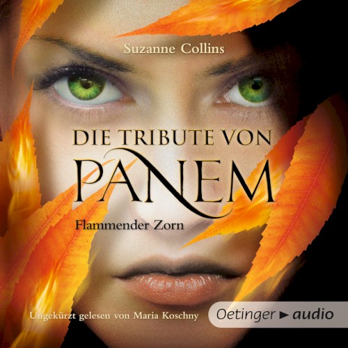 Die Tribute von Panem: Flammender Zorn
