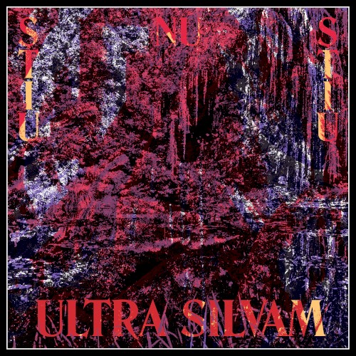 Ultra Silvam