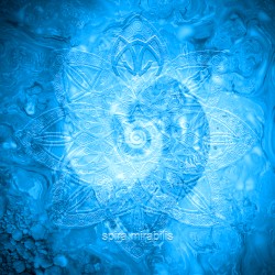 Spira Mirabilis