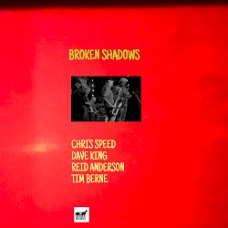 Broken Shadows Live