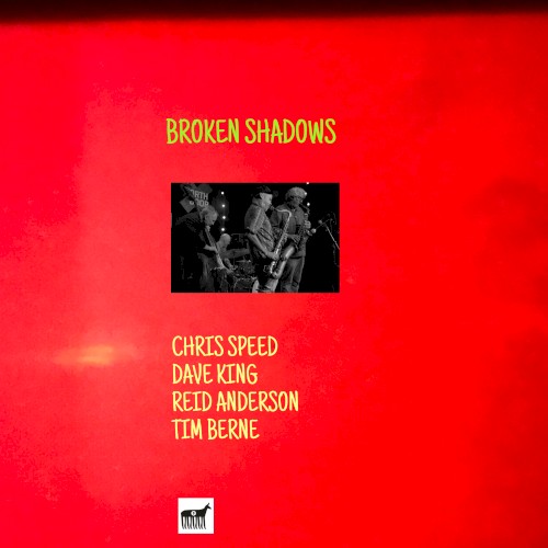 Broken Shadows Live
