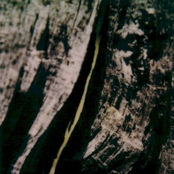 Underwritten III