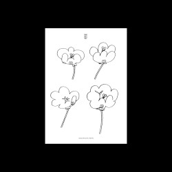 Poppies