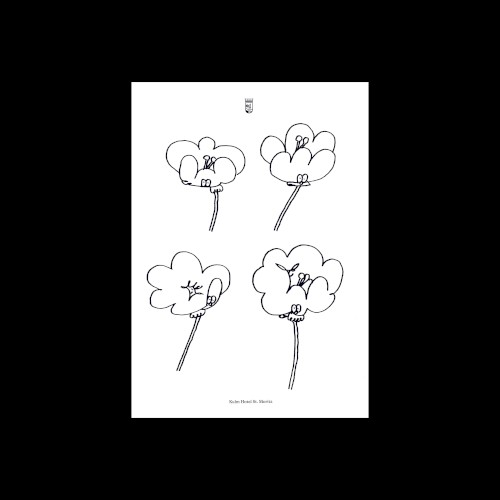 Poppies
