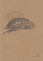 Oniscus Asellus