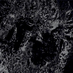 Atonal Hypermnesia
