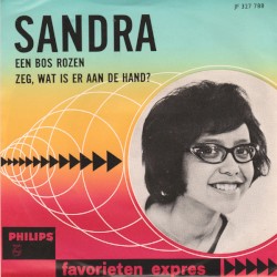 Een bos rozen / Zeg, wat is er aan de hand?