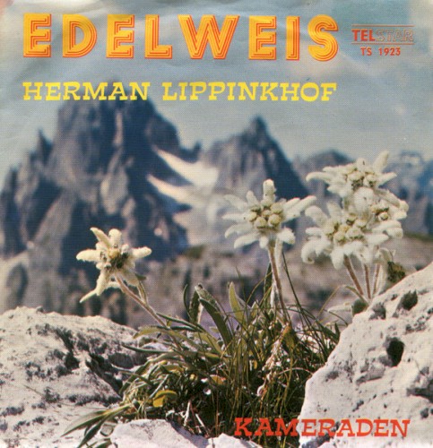Edelweis / Kameraden