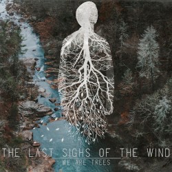 We are Trees