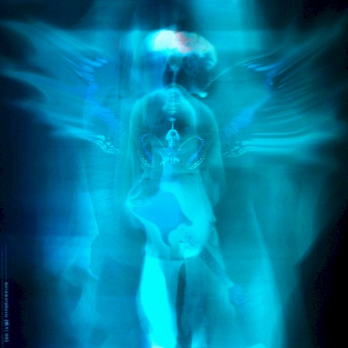 CITY POP 005 [metamorphosis]