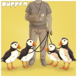 Puffin