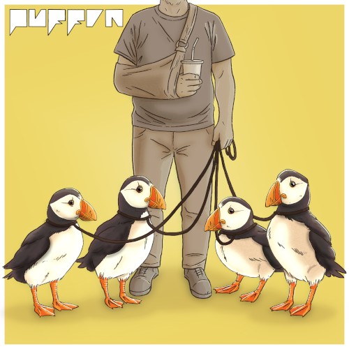 Puffin