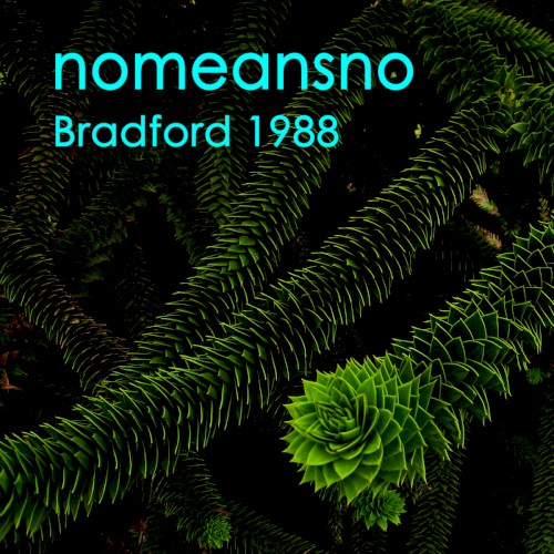 Live Bradford 1988