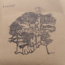 042207