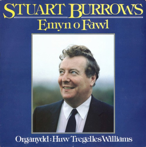 Emyn o Fawl